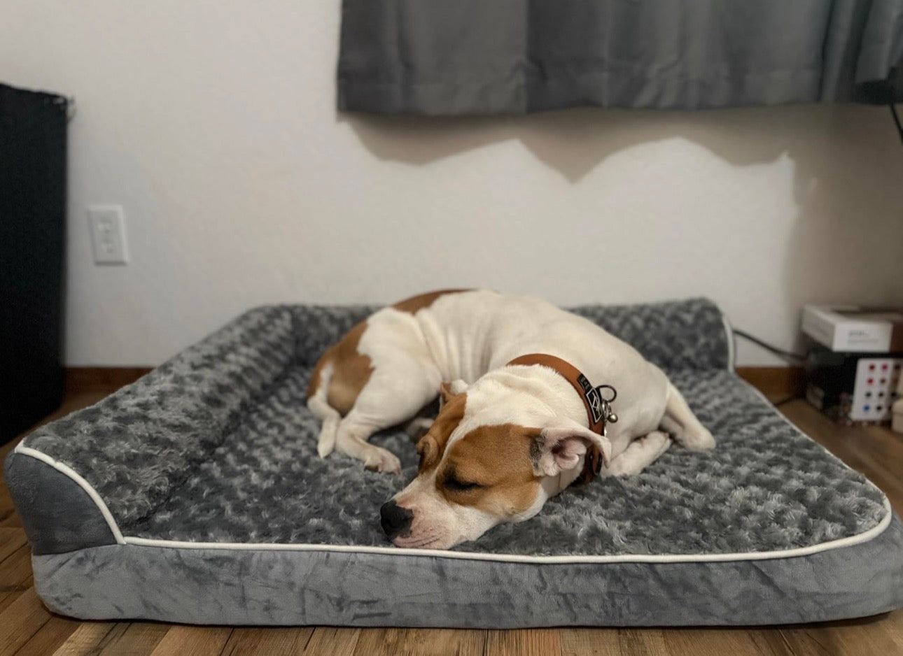 Cama ortopédica para raza mediana y grande, cobertor lavable