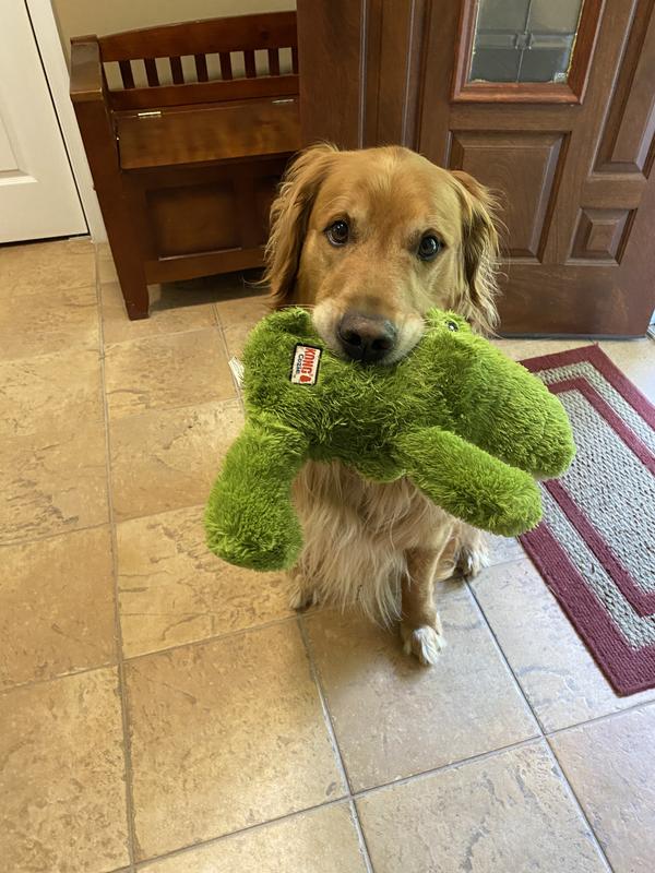 KONG Cozie Ali the Alligator Dog Toy, Medium