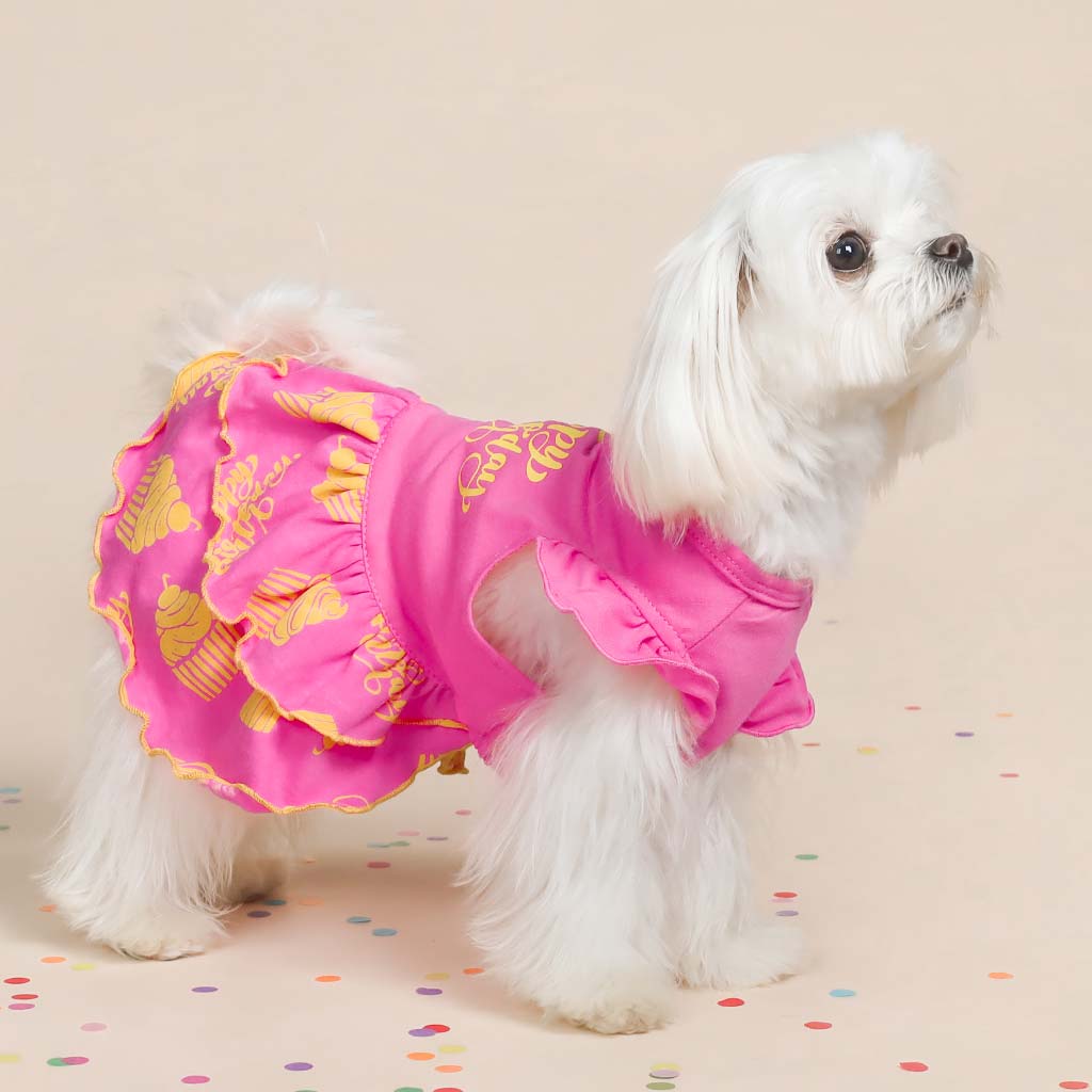 Happy Birthday Tiered Dog Dress