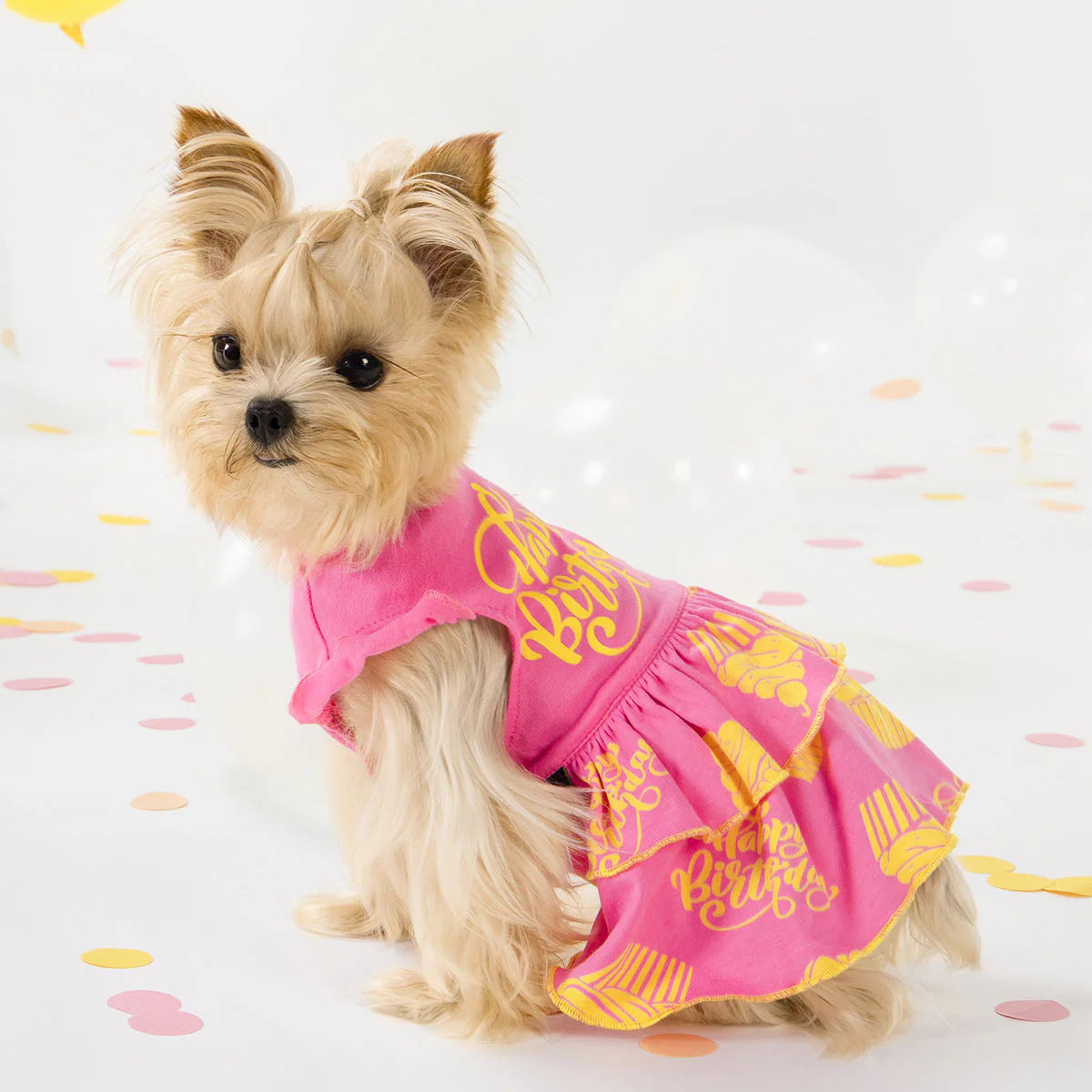 Happy Birthday Tiered Dog Dress
