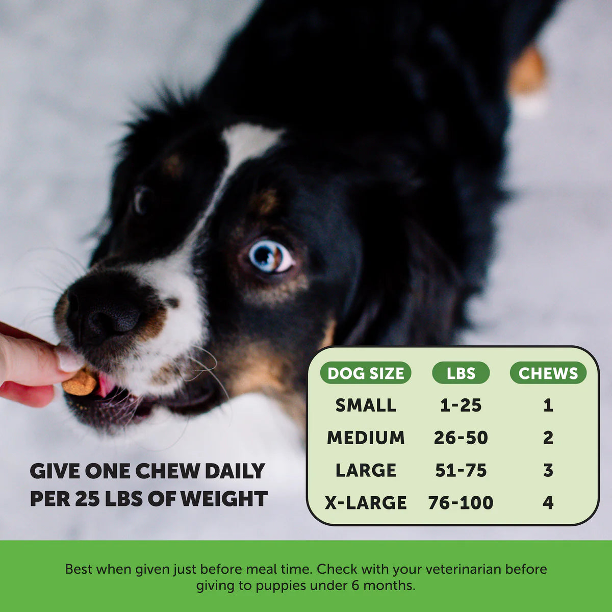 Probiotics Gut + Immune Health Pet Honesty - Sabor pato