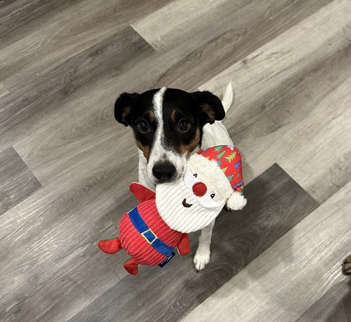 Holiday Santa & Snowman Reversible Plush Squeaky Dog Toy, Small/Medium