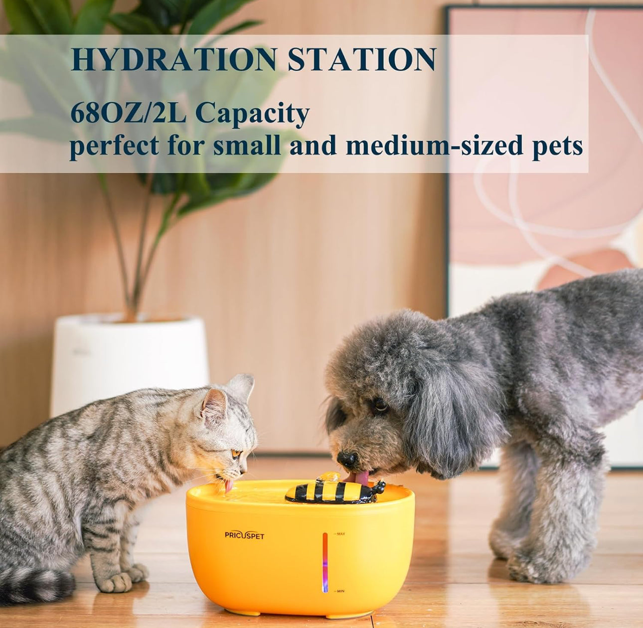 Fuente para mascotas de 68 oz/2 L, dispensador automático de agua para perros con 2 filtros de carbono adicionales