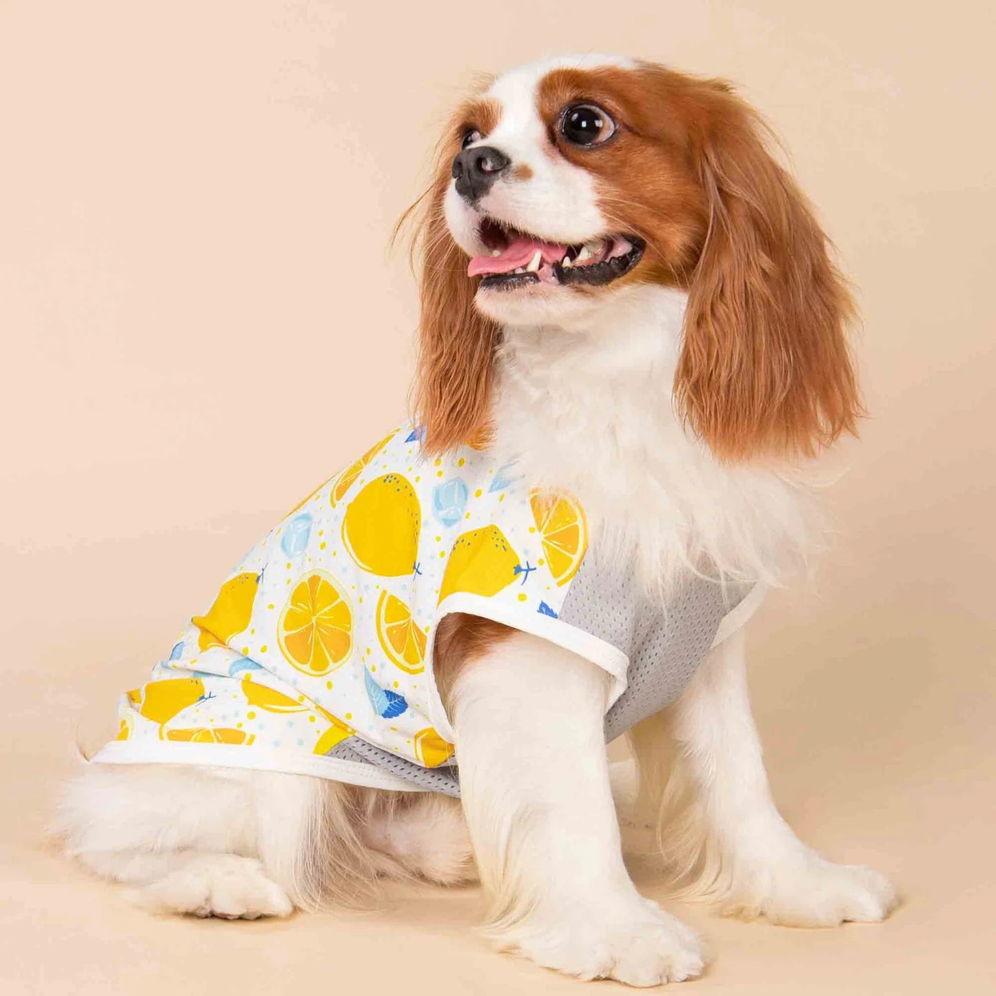 camisa para perro con protección solar UV UPF 50+
