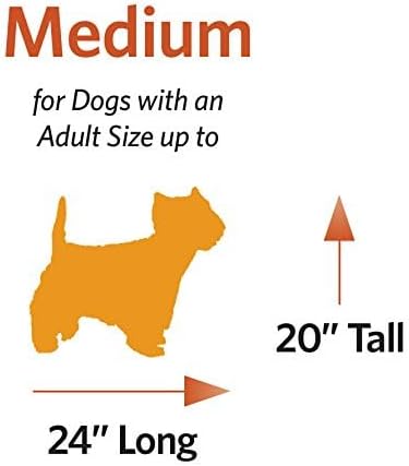 Midwest Jaula para perro 30 x 19 x 21 pulgadas
