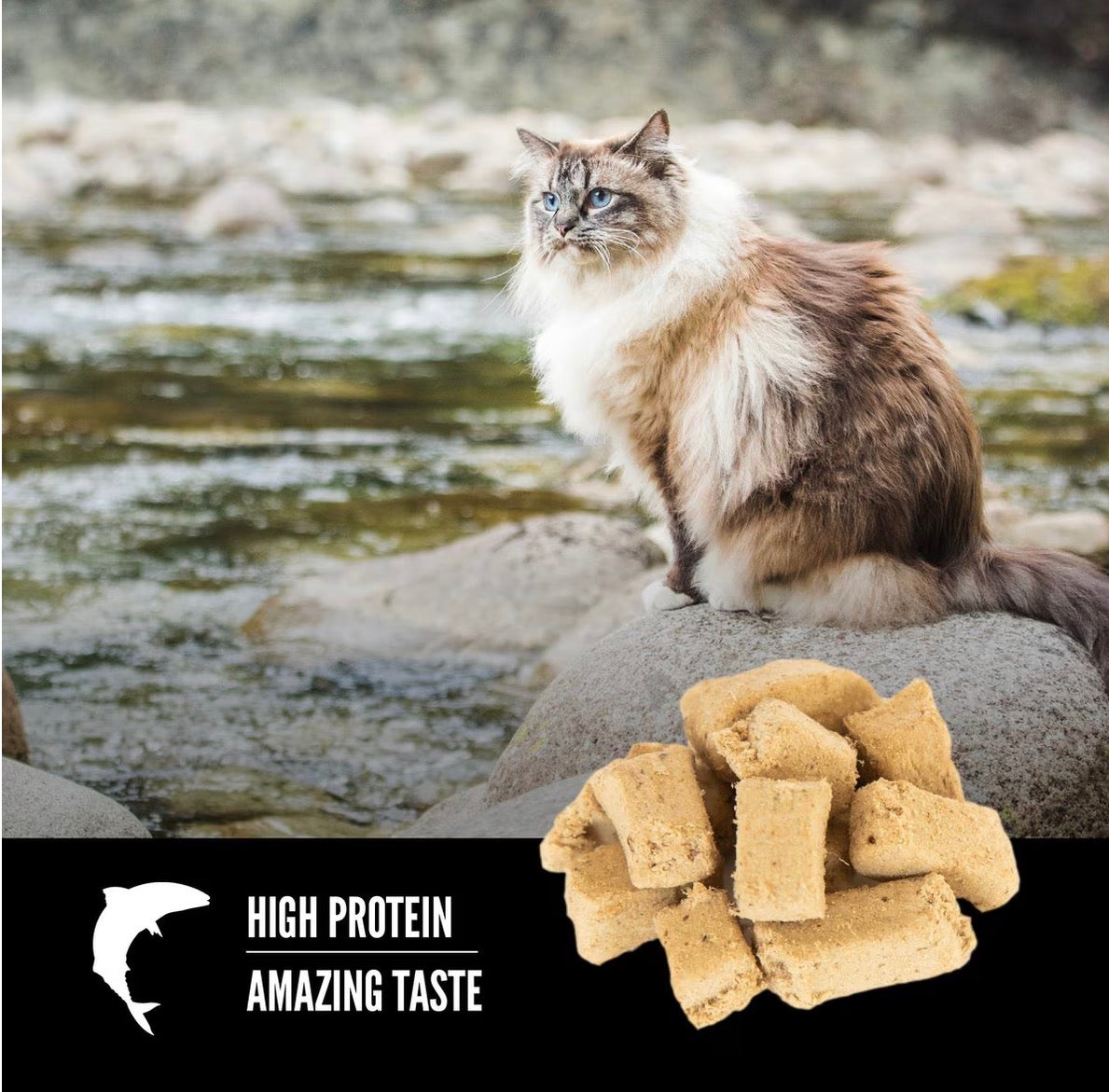 ORIJEN Freeze Dried Cat Treats Grain Free High Protein Raw Animal Ingredients Six Fish 1.25oz Bag