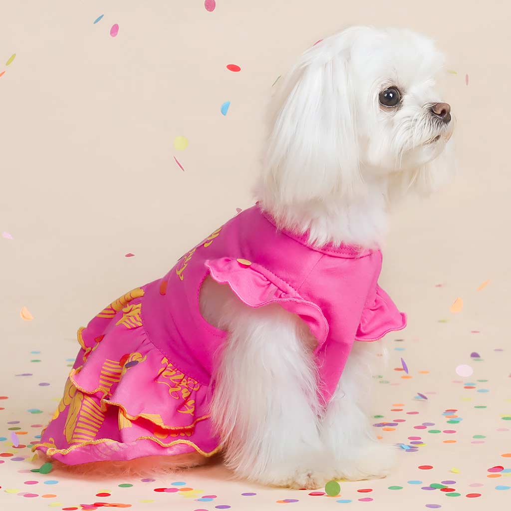 Happy Birthday Tiered Dog Dress