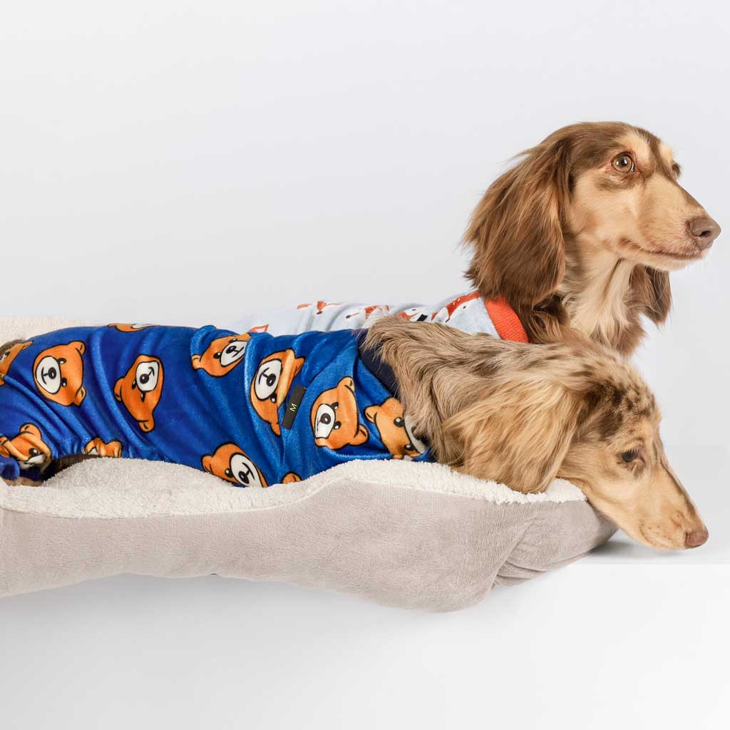 Cute Bear Dog Pajamas