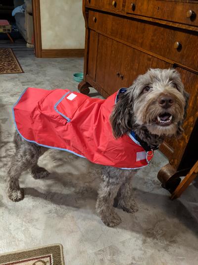 Lightweight Reversible Packable Travel Dog Raincoat - Rojo