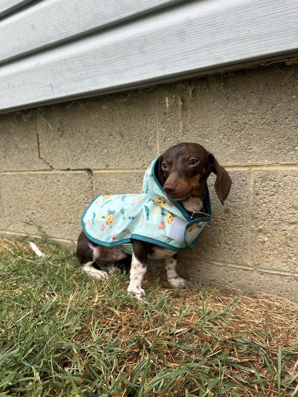 Disney Dog & Cat Raincoat