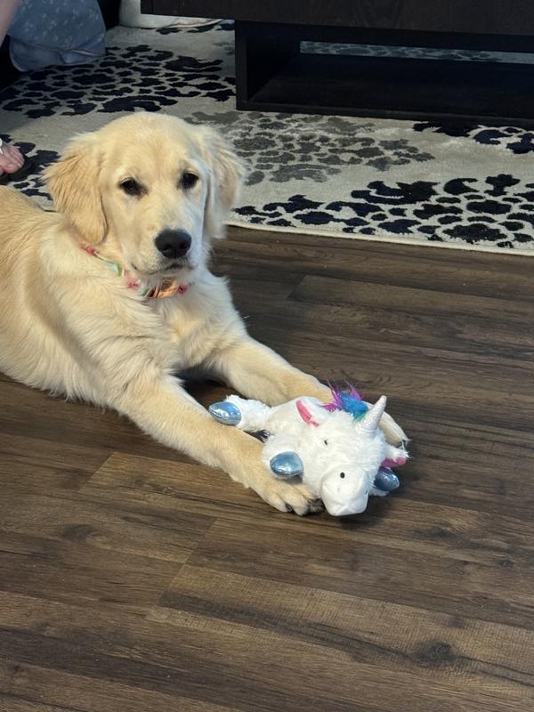 Frisco Unicorn Plush Squeaky Dog Toy