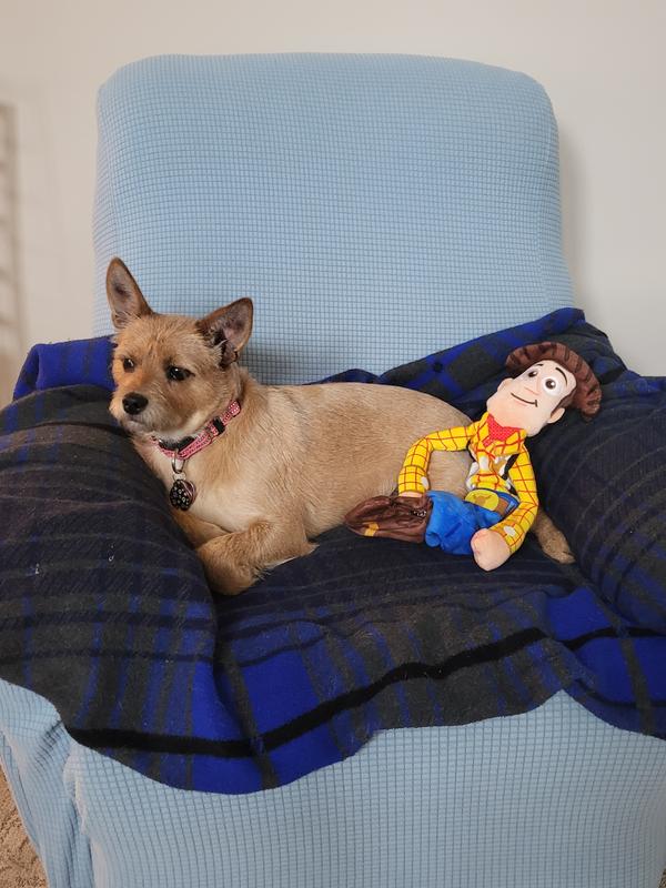 Pixar Woody Bungee Plush Squeaky Dog Toy