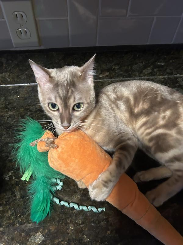 SmartyKat Kolossal Karrot Crinkle Kicker Catnip Cat Toy