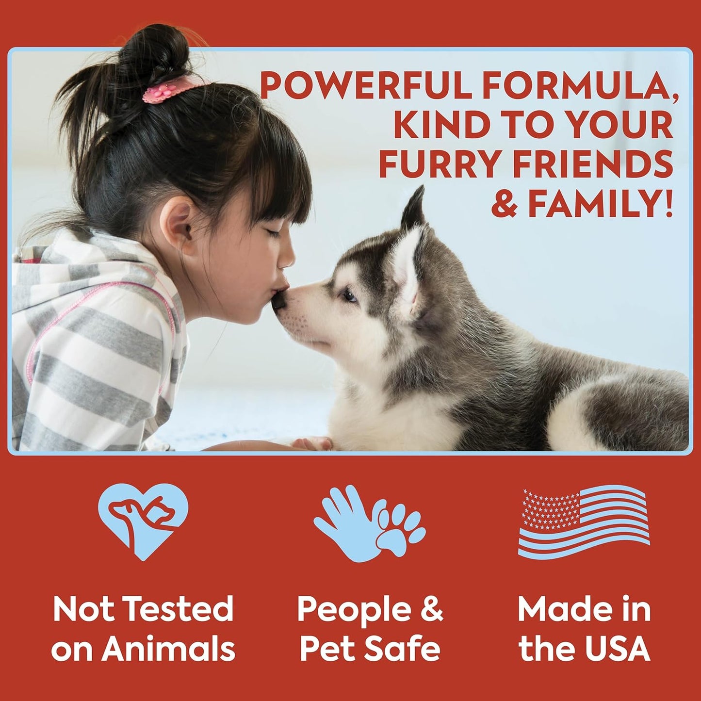 Out! PetCare No Chew Spray Antimordisco