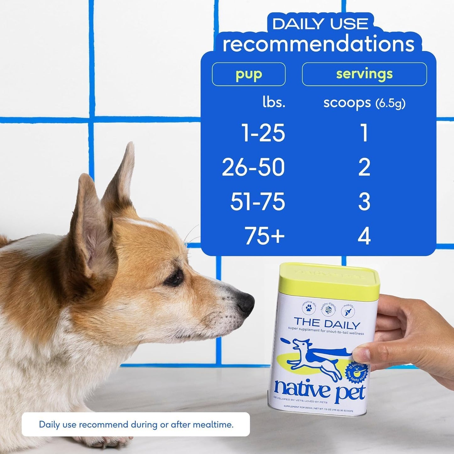 The daily Multivitamínico 11 en 1 para perros con 21 suplementos y vitaminas Native Pet