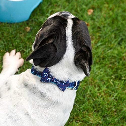 Collar de perro con corbatín