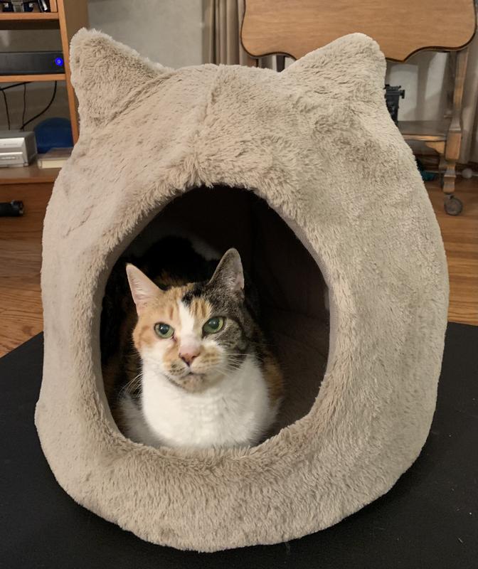 Best Friends by Sheri Meow Hut Covered Cat