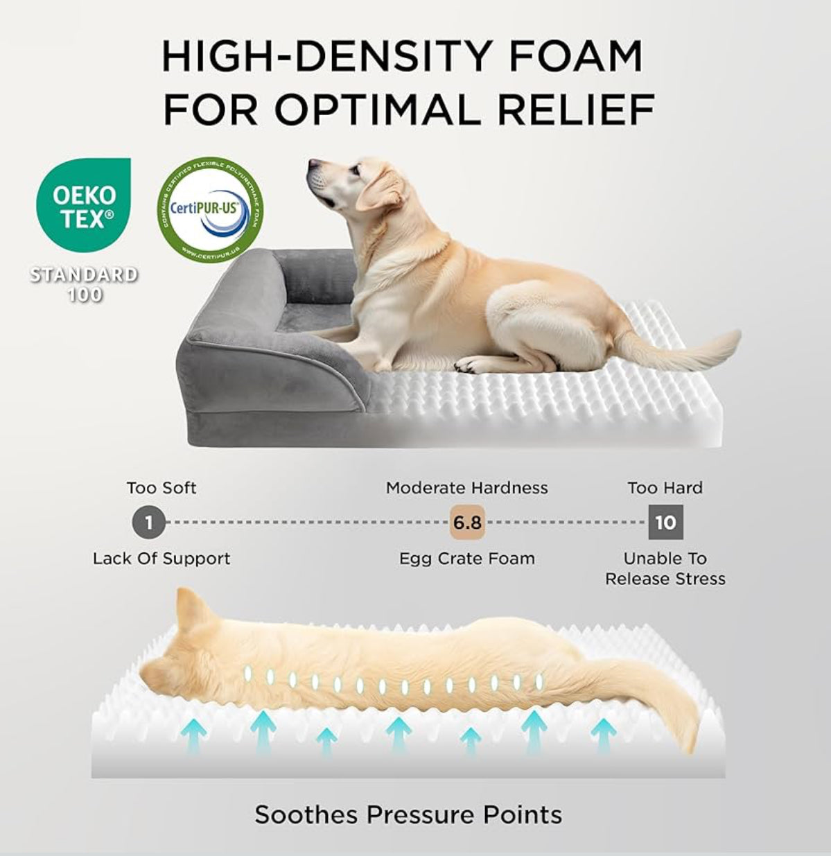 Cama ortopédica extragrande para perros