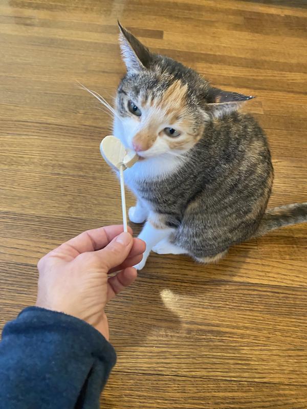 Bonkers Purr Pops Grain-Free