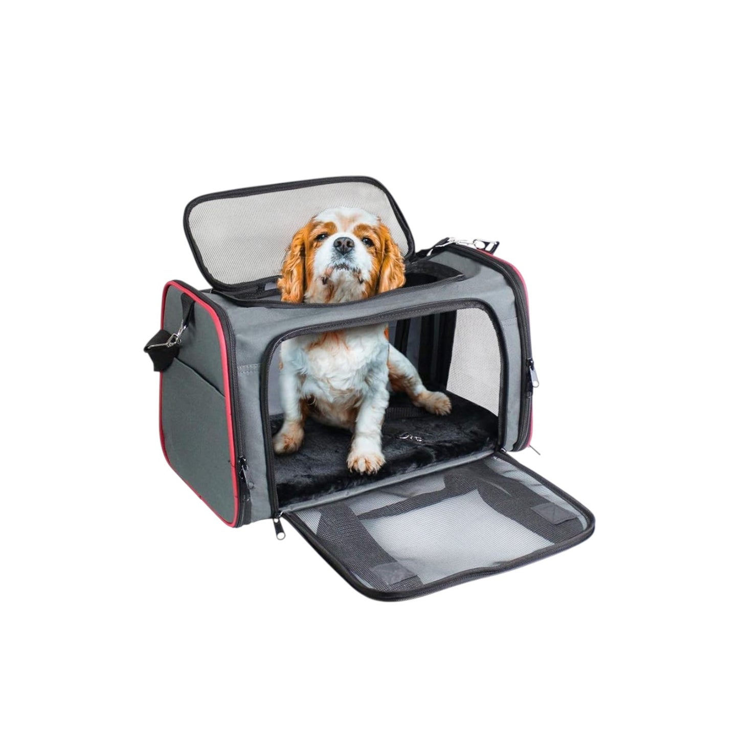 Transportador de mascotas