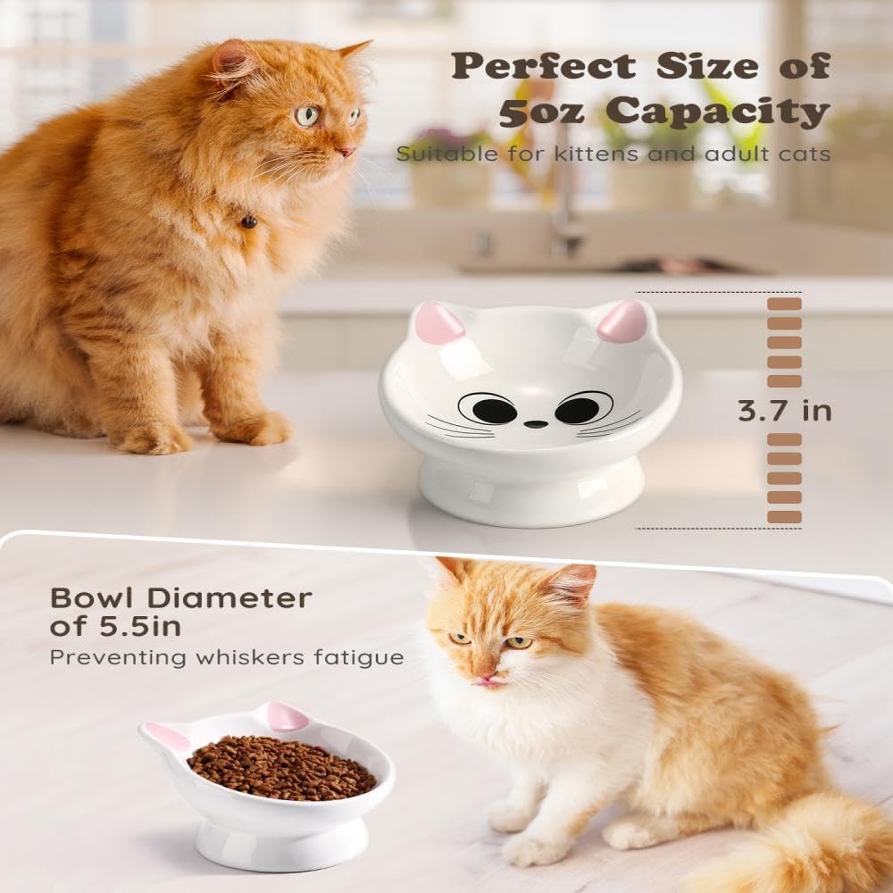 Plato de cerámica elevado para gatos
