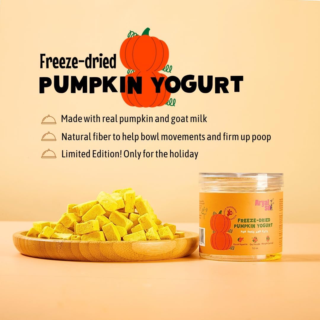 Arya sit - Freeze dried Pumpkin Yogurt