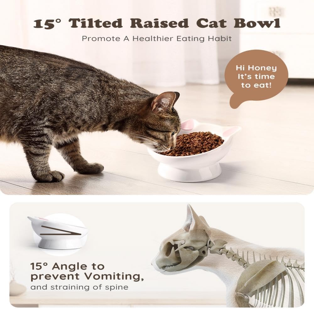 Plato de cerámica elevado para gatos
