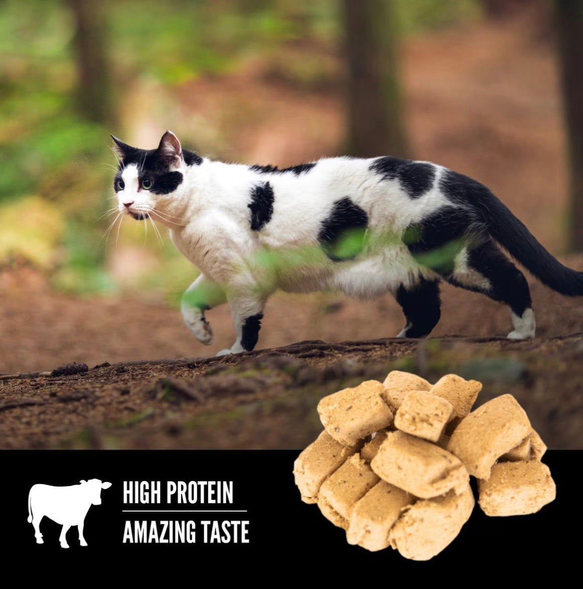 ORIJEN Freeze Dried Cat Treats Grain Free High Protein Raw Animal Ingredients Regional Red 1.25oz Bag