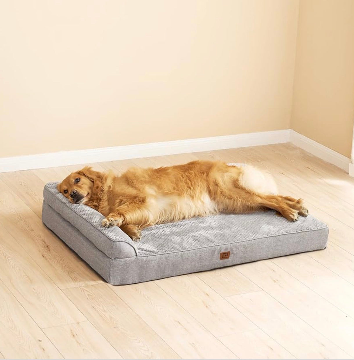 Cama ortopédica para raza grande XL, cobertor lavable
