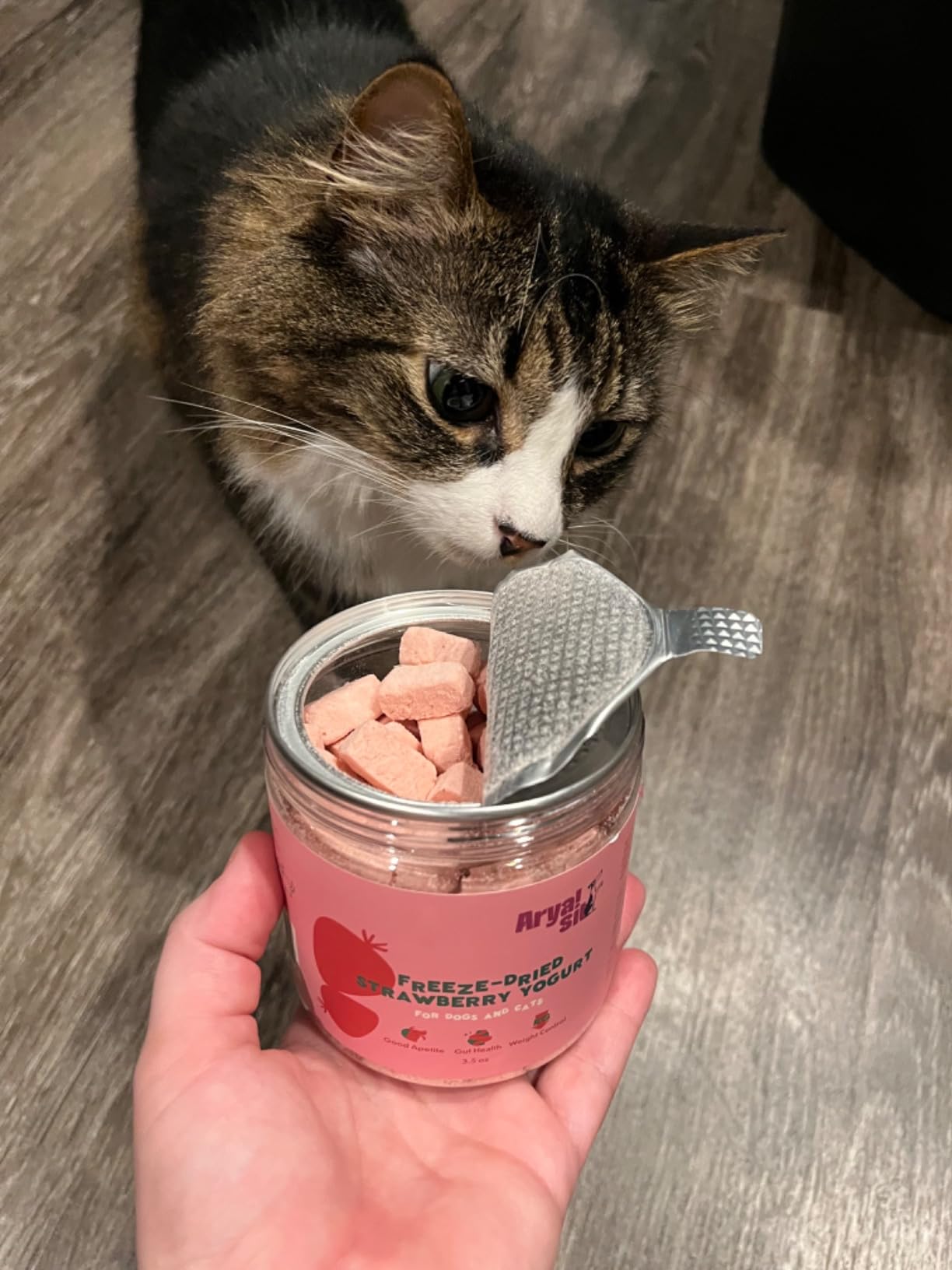 Arya Sit Golosinas para perros liofilizadas de un solo ingrediente (yogur de fresa con leche de cabra)