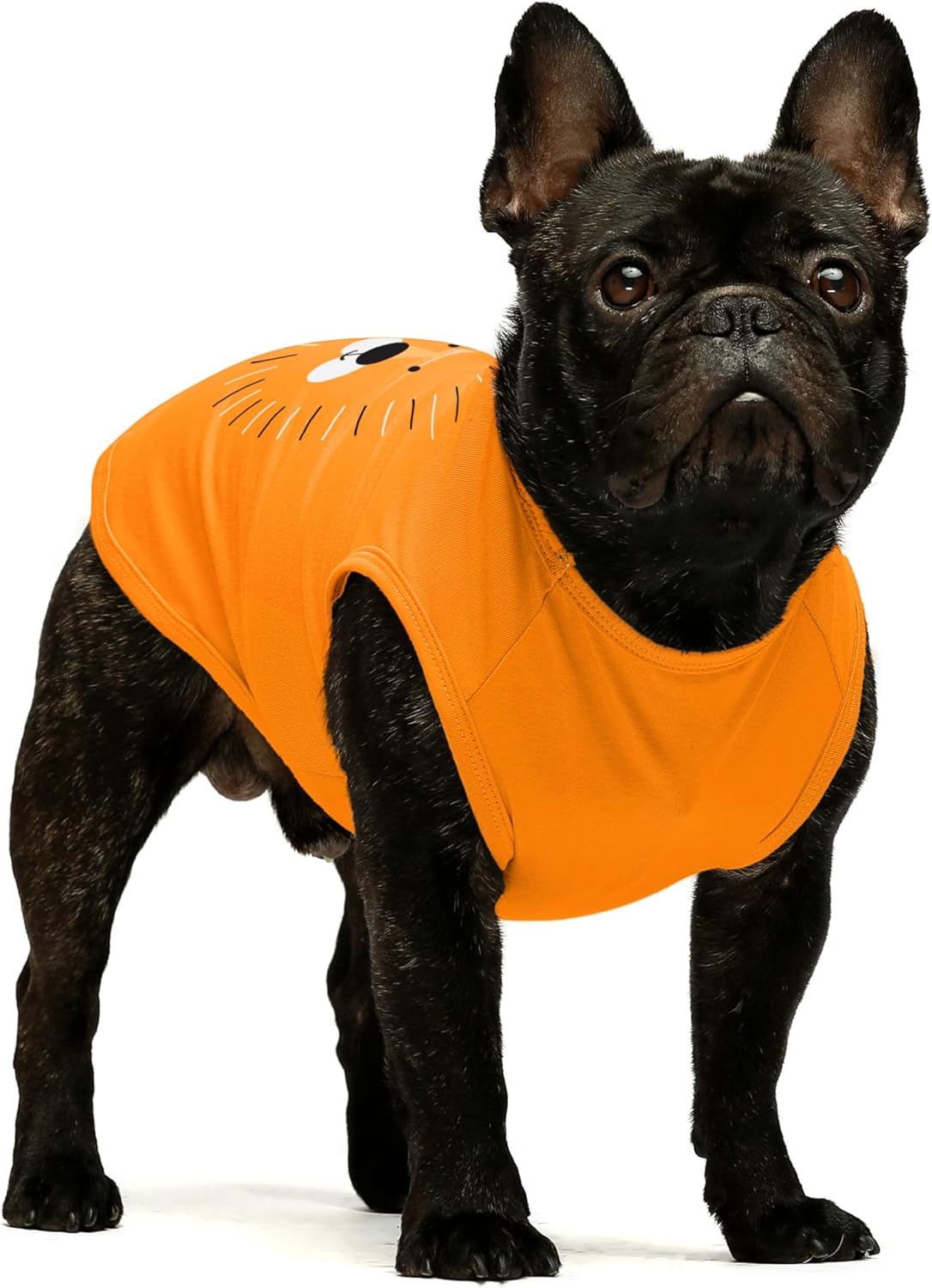 Orange Lion Dog Shirt