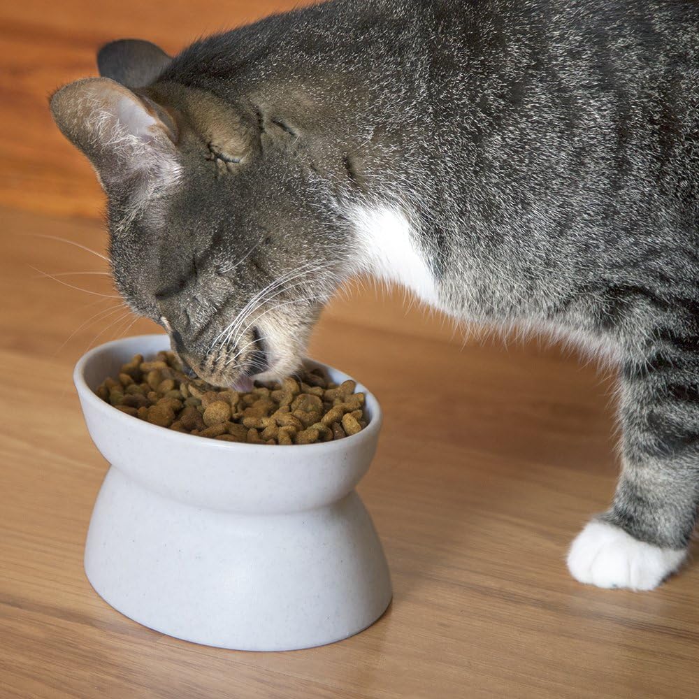 juego de cuencos de comida para gatos o perro raza pequeña