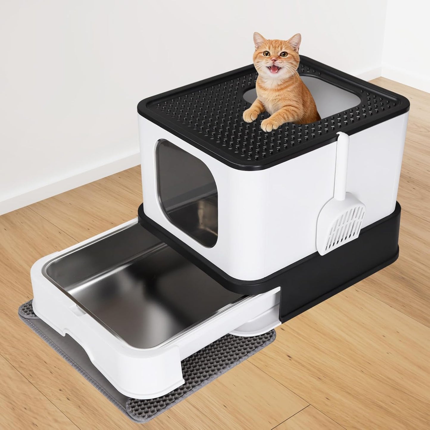 Caja de Acero Inoxidable para Gatos: Diseño Cerrado con Paredes Altas