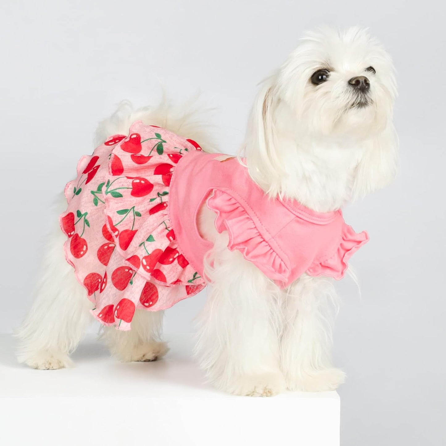 Fitwarm Cherry Cupcake Vestido