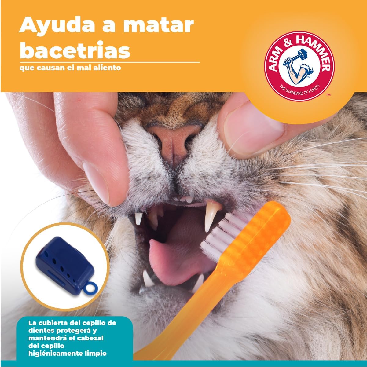 Arm & Hammer Kit dental para gatos cachorros