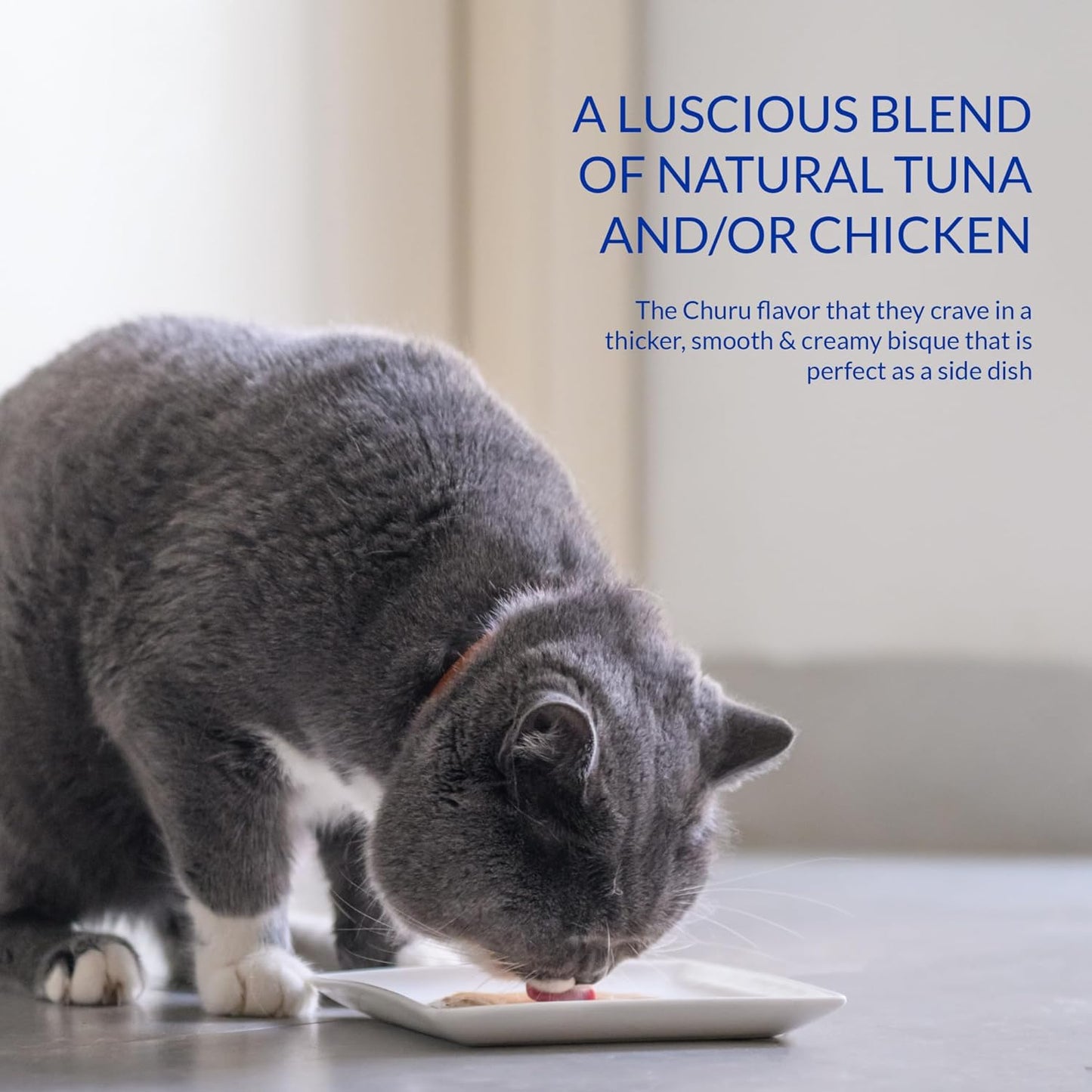 INABA Churu Bisque para gatos, sabor pollo, 1.4 onzas por bolsa
