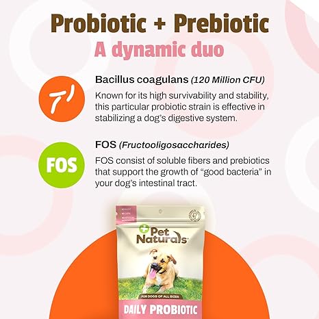 Pet Naturals Probiótico diario para perros
