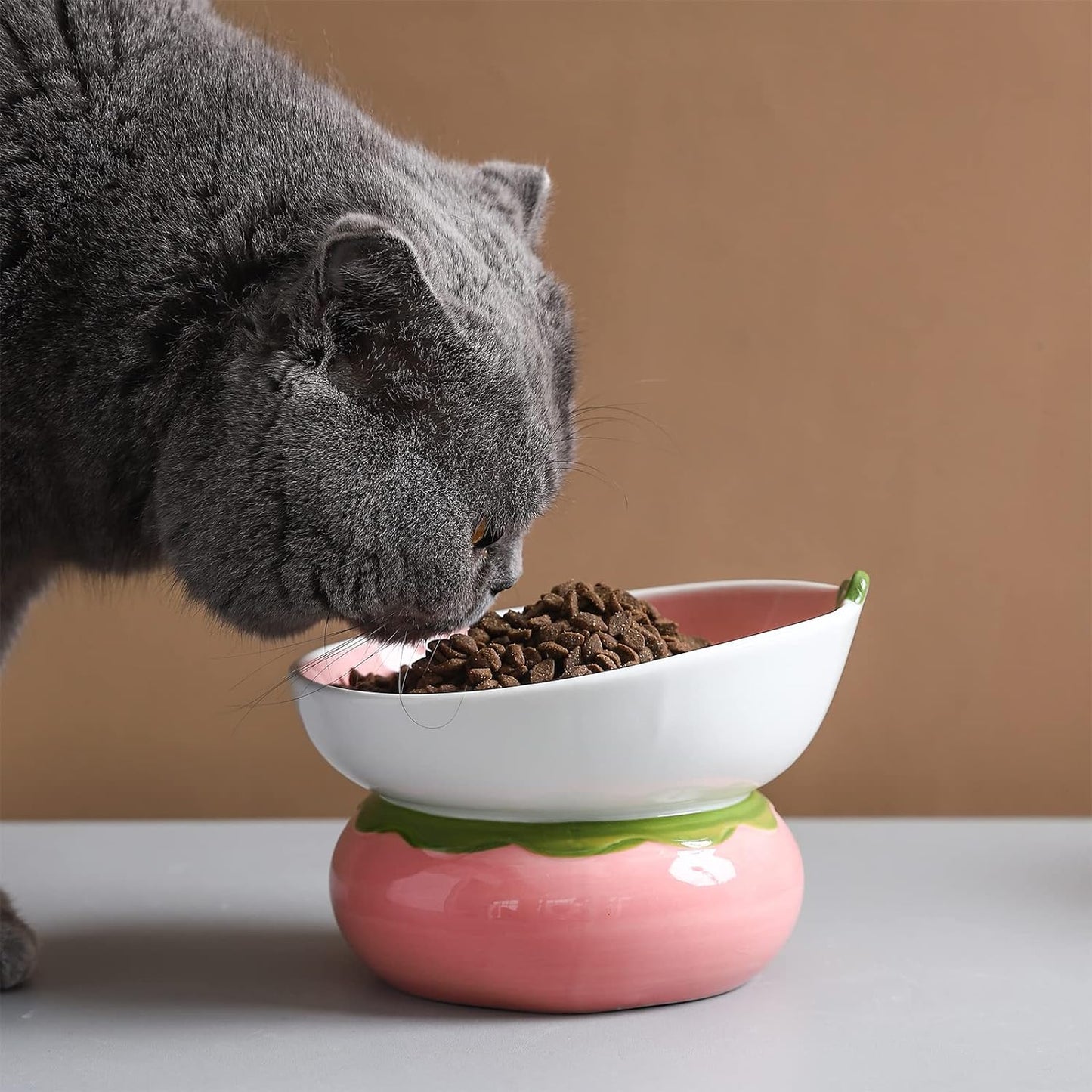 Cuenco elevado de cerámica para gatos