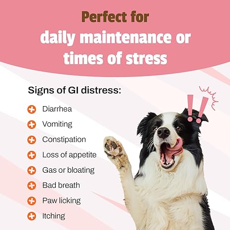 Pet Naturals Probiótico diario para perros
