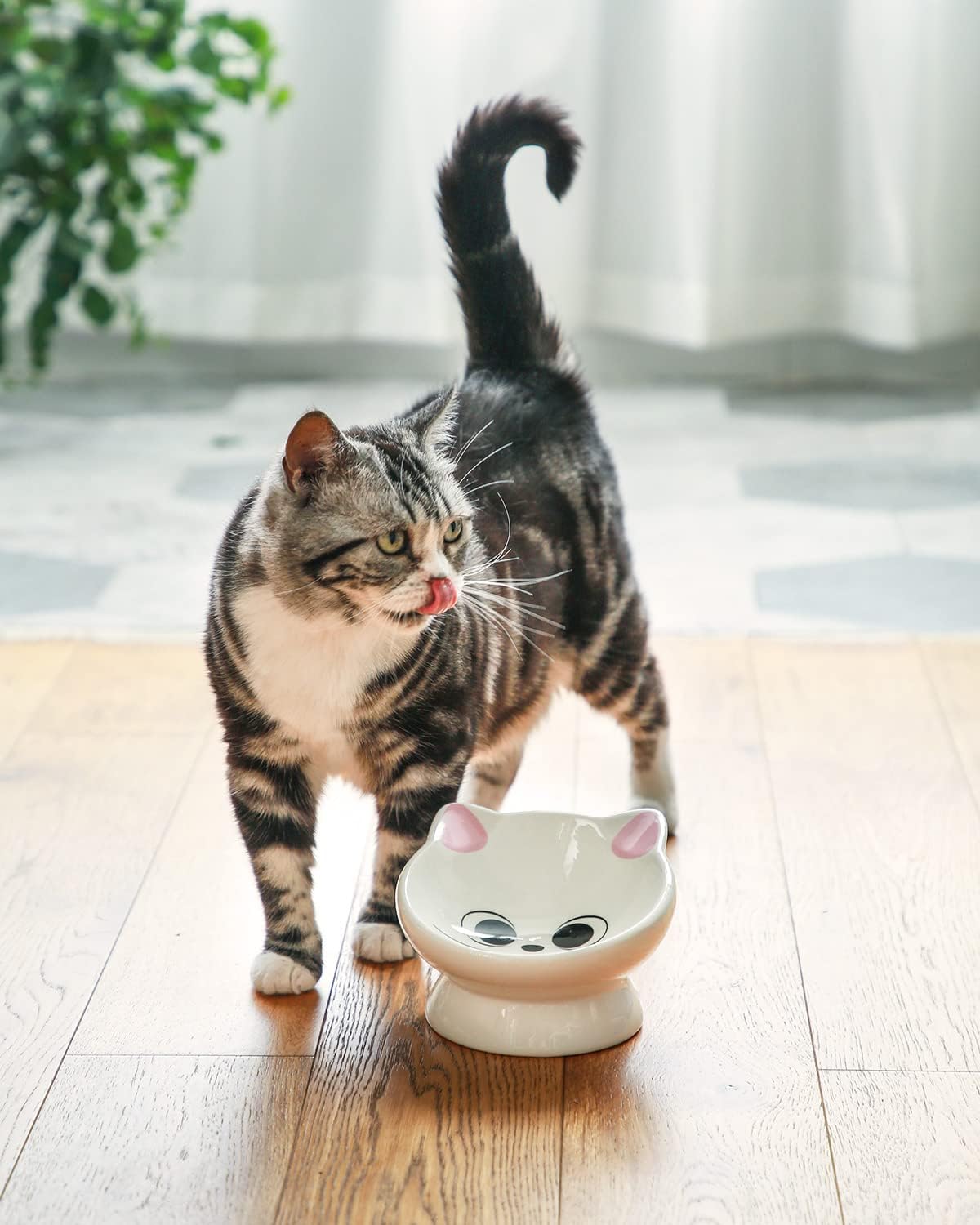 Plato de cerámica elevado para gatos