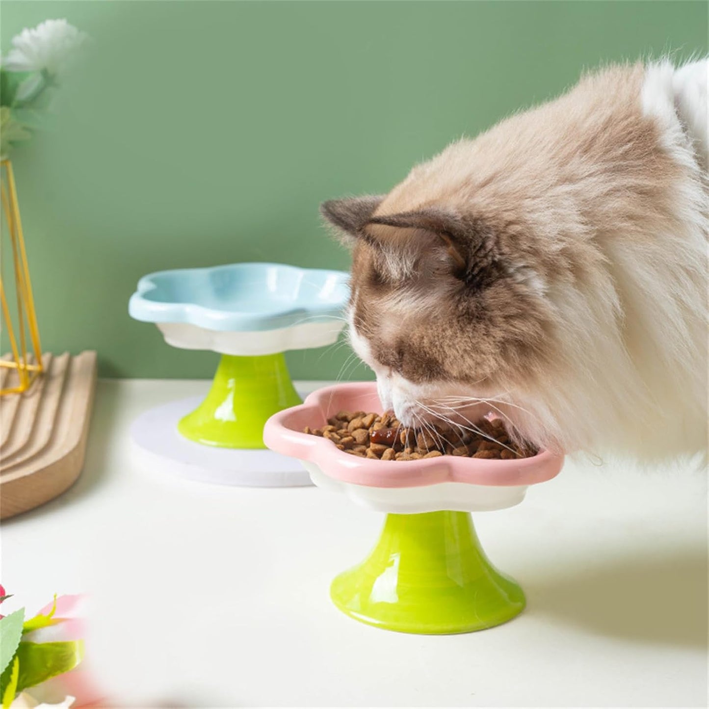 plato flor cerámica para mascota