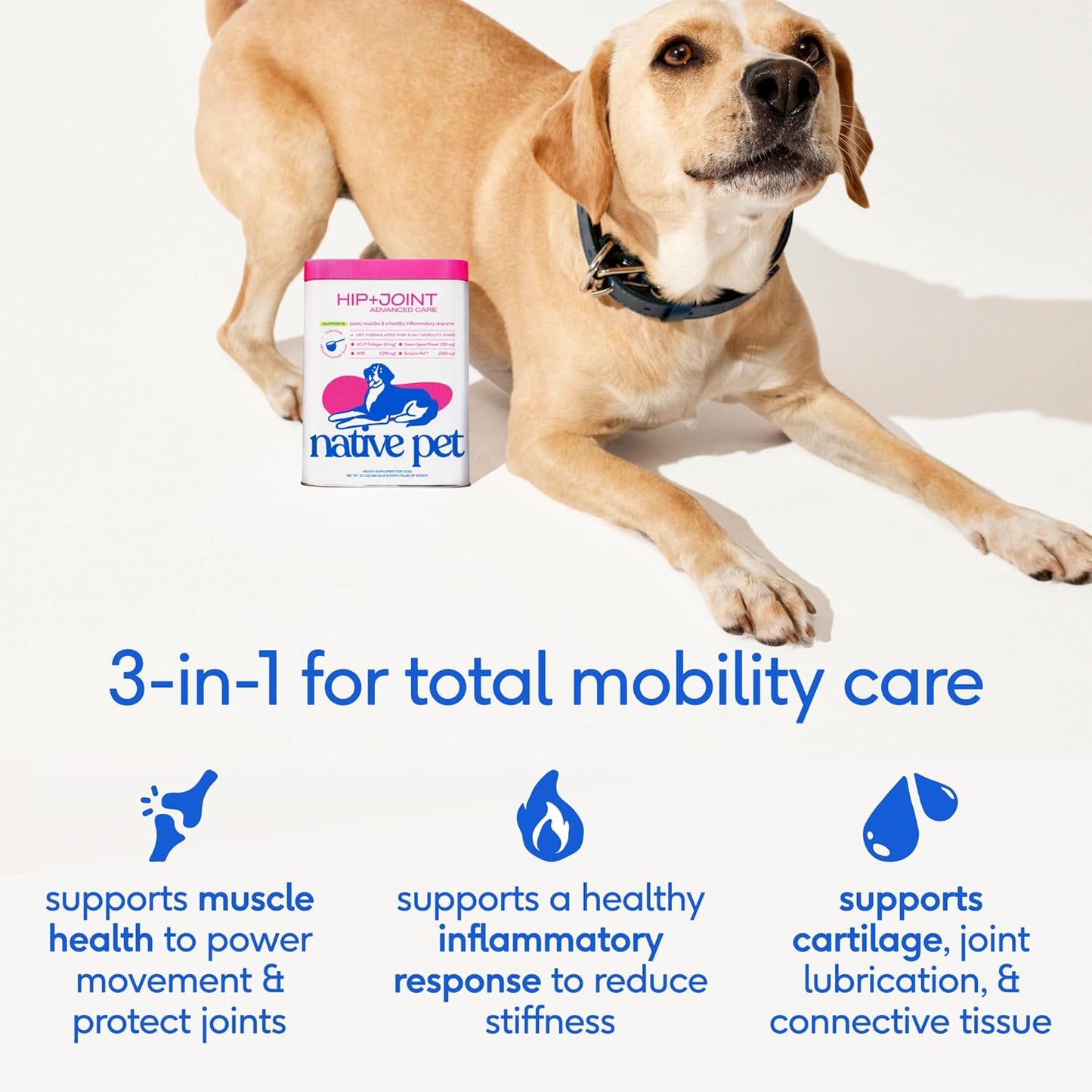 Native Pet Advanced Care - Hip and Joint Suplemento para cadera y articulaciones para perros