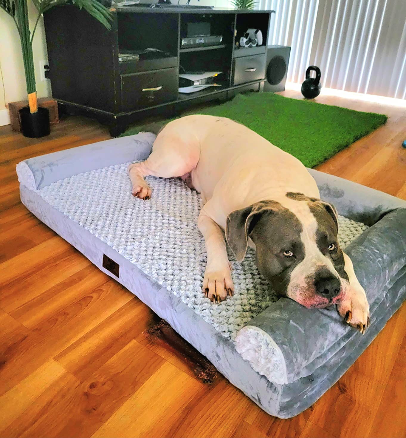 Cama ortopédica tamaño XL, color gris