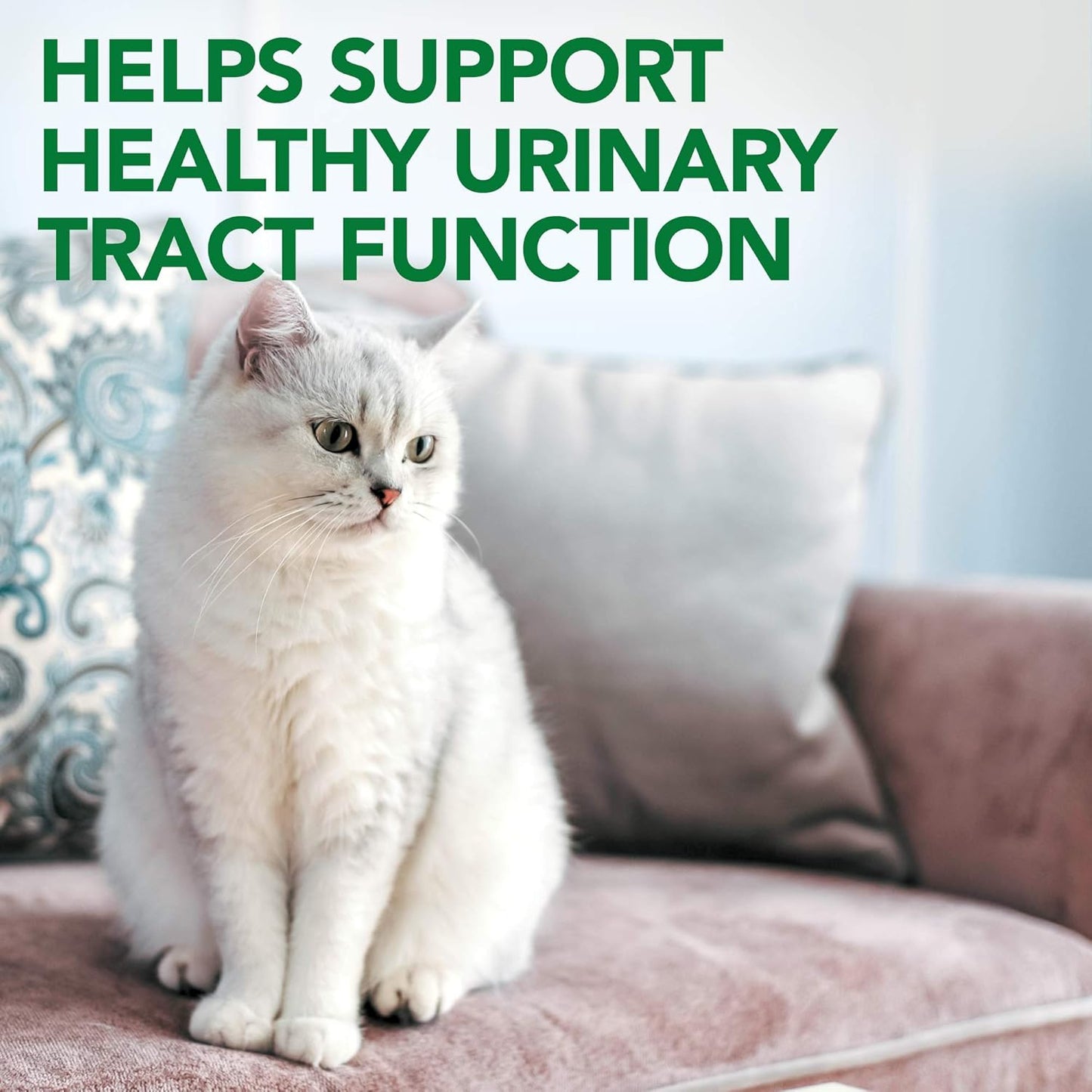 Vet's Best Masticables de apoyo del tracto urinario para gatos