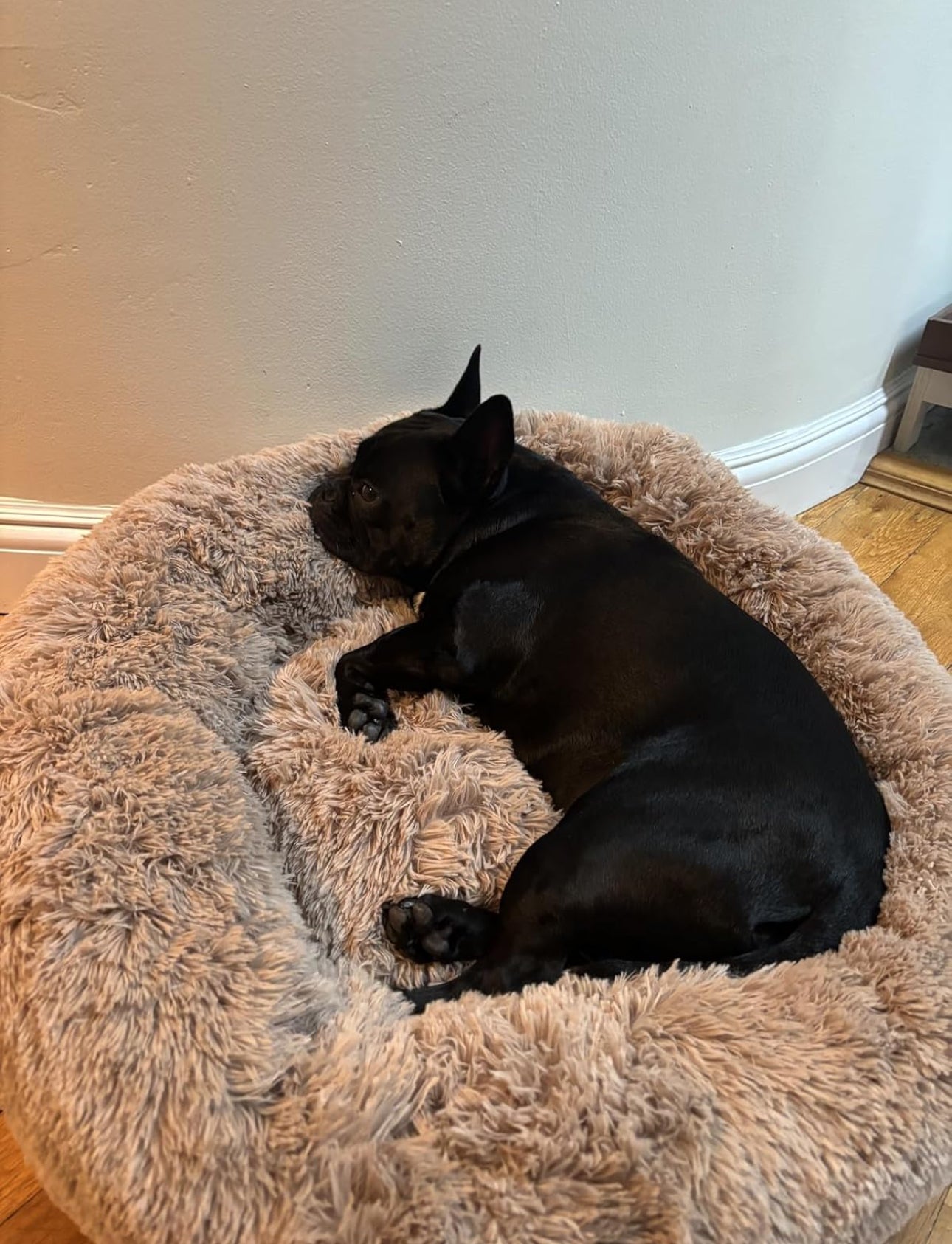 Cama relajante para perro mediano lavable (tipo dona)