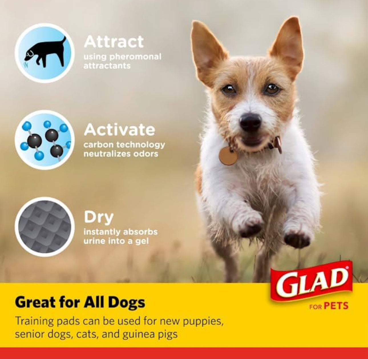 Glad for Pets|Pads de carbón negro para orina de mascotas, desechables, súper absorbentes (23x23 pulgadas, 50 unidades)