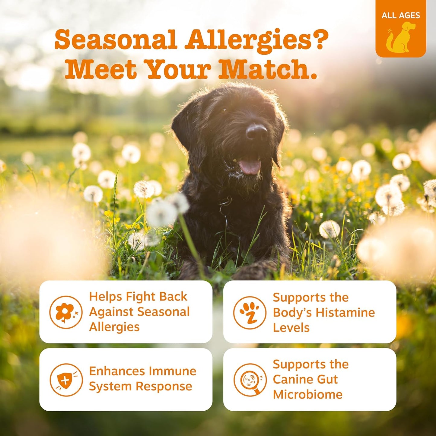 Zesty paws- Allergy and immune bites, 90 masticables