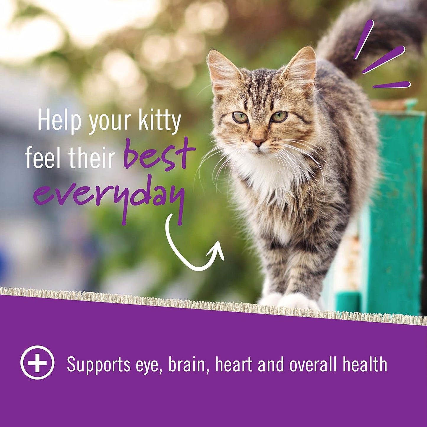 Pet Naturals Multivitamínico diario para gatos con biotina