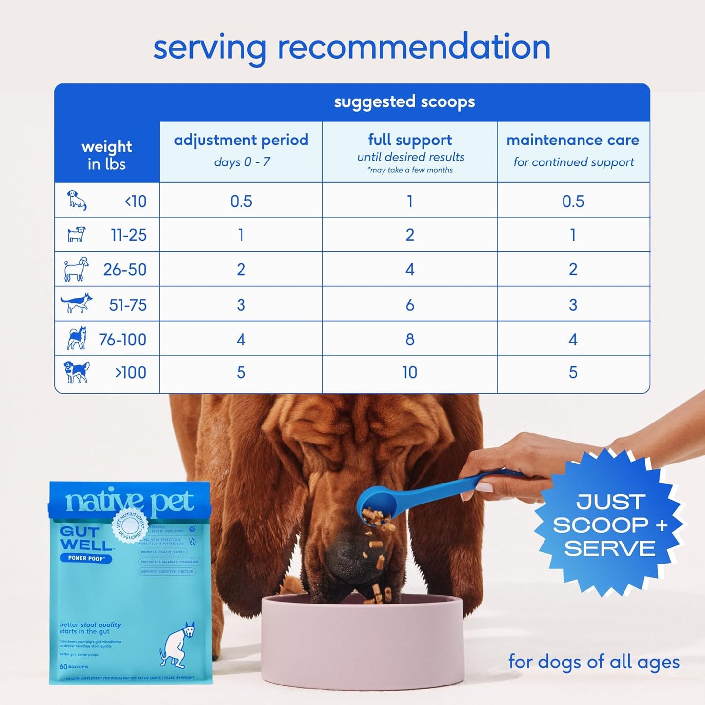 Native pet GutWell Power Poop - Enzimas digestivas para perros - Apoyo digestivo, alivio de gases