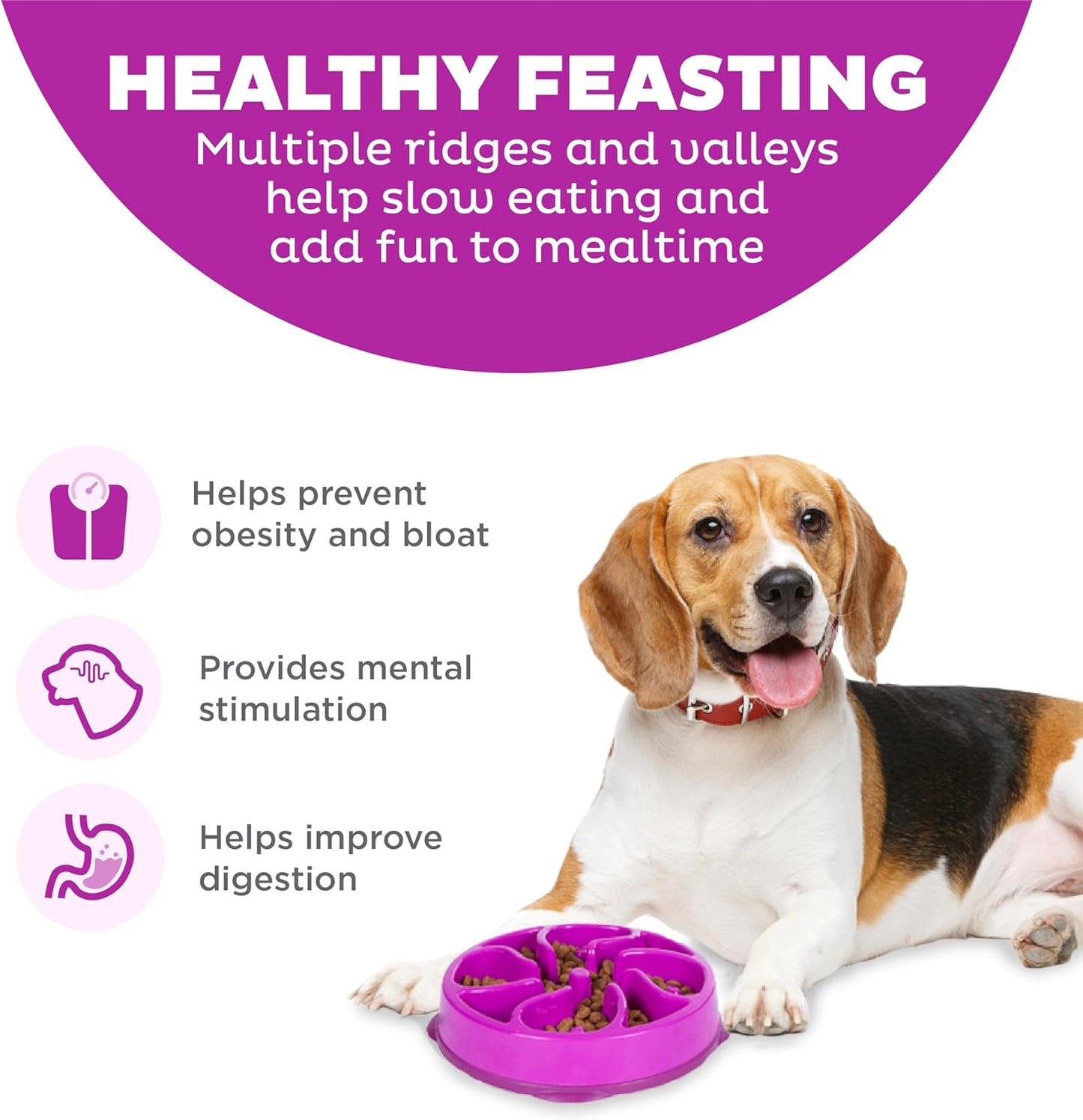 Outward Hound Fun Feeder Slo Bowl Cuenco para perro de alimentación lenta, mediano/pequeño